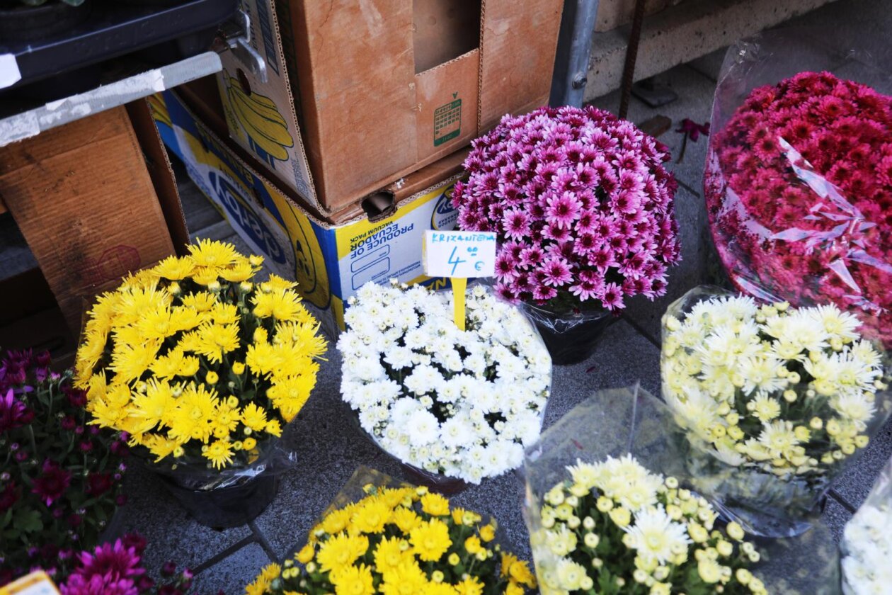Rijeka: Prodaja krizantema uoči blagdana Svih svetih