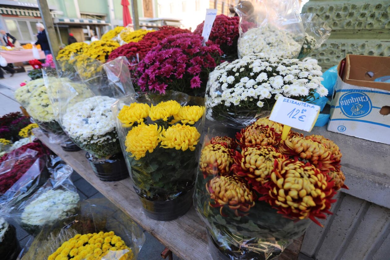 Rijeka: Prodaja krizantema uoči blagdana Svih svetih