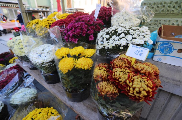 Rijeka: Prodaja krizantema uoči blagdana Svih svetih