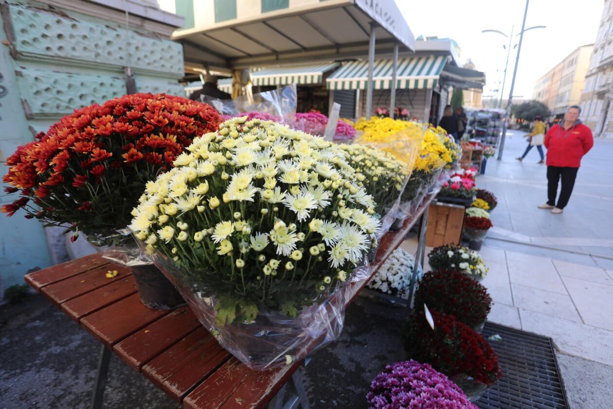 Rijeka: Prodaja krizantema uoči blagdana Svih svetih