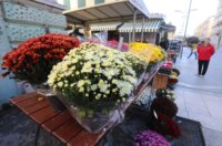 Rijeka: Prodaja krizantema uoči blagdana Svih svetih