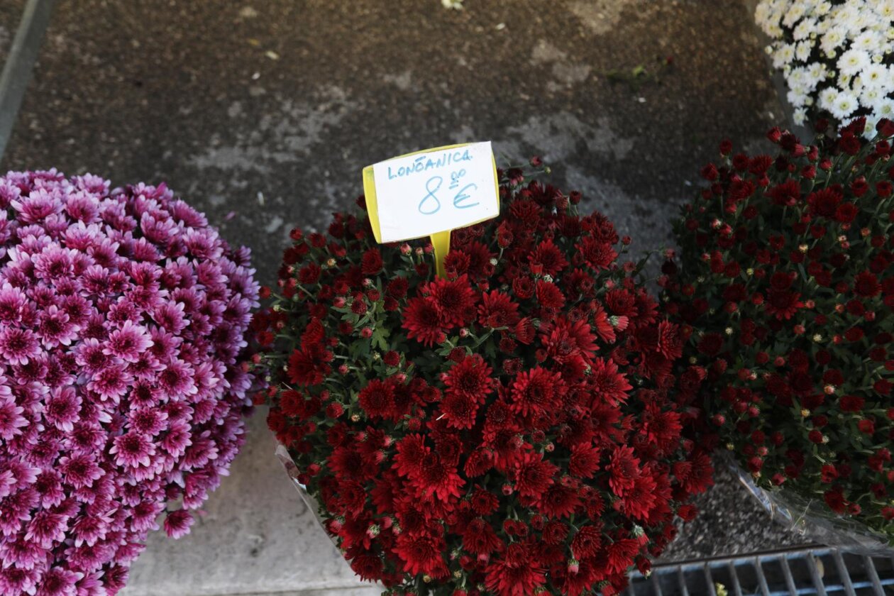 Rijeka: Prodaja krizantema uoči blagdana Svih svetih
