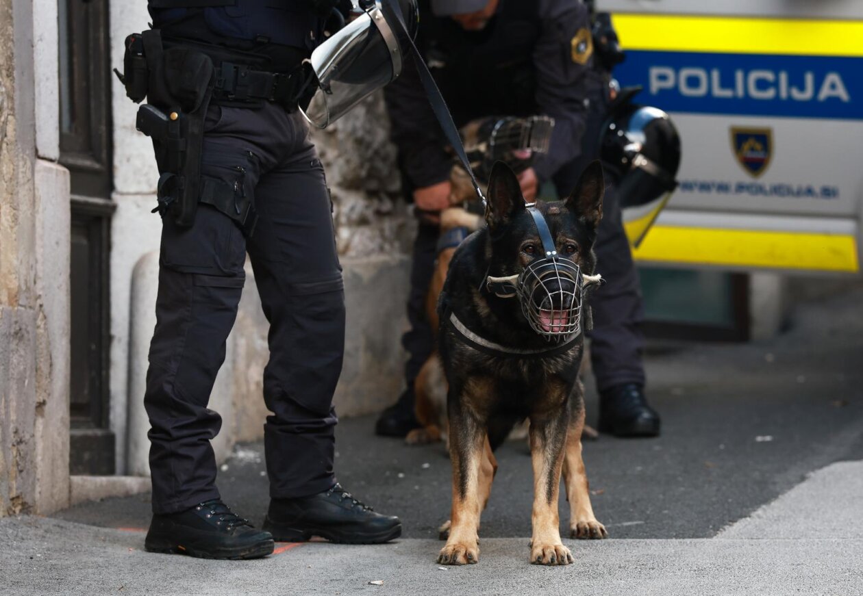 Novo Mesto: Građani pristižu na prosvjedni skup, održat će se i politički summit Novo Mesto: Građani pristižu na prosvjedni skup, održat će se i politički summit