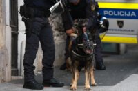 Novo Mesto: Građani pristižu na prosvjedni skup, održat će se i politički summit Novo Mesto: Građani pristižu na prosvjedni skup, održat će se i politički summit