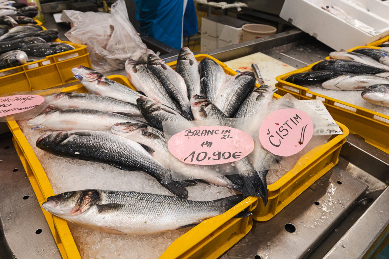 Tržnica ribarnica-4193