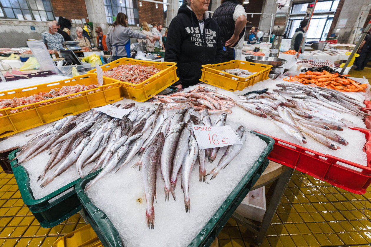 Tržnica ribarnica-4200