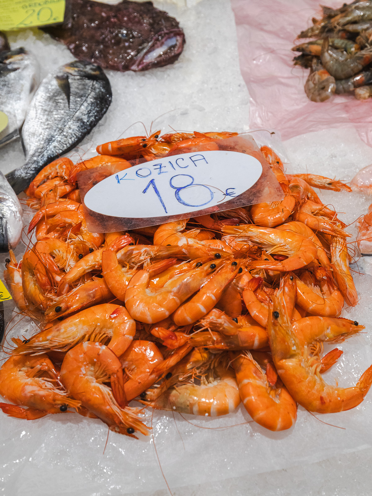 Tržnica ribarnica-4203