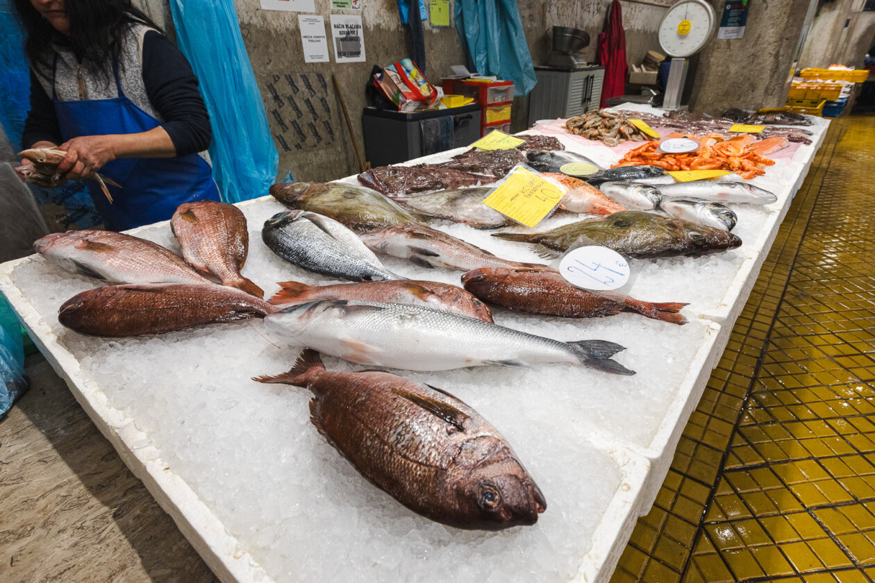 Tržnica ribarnica-4205