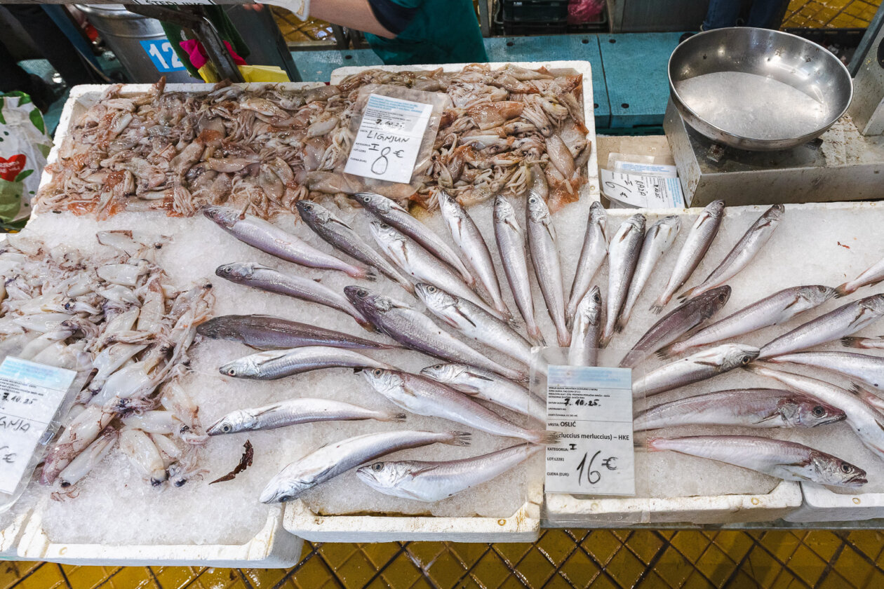 Tržnica ribarnica-4215