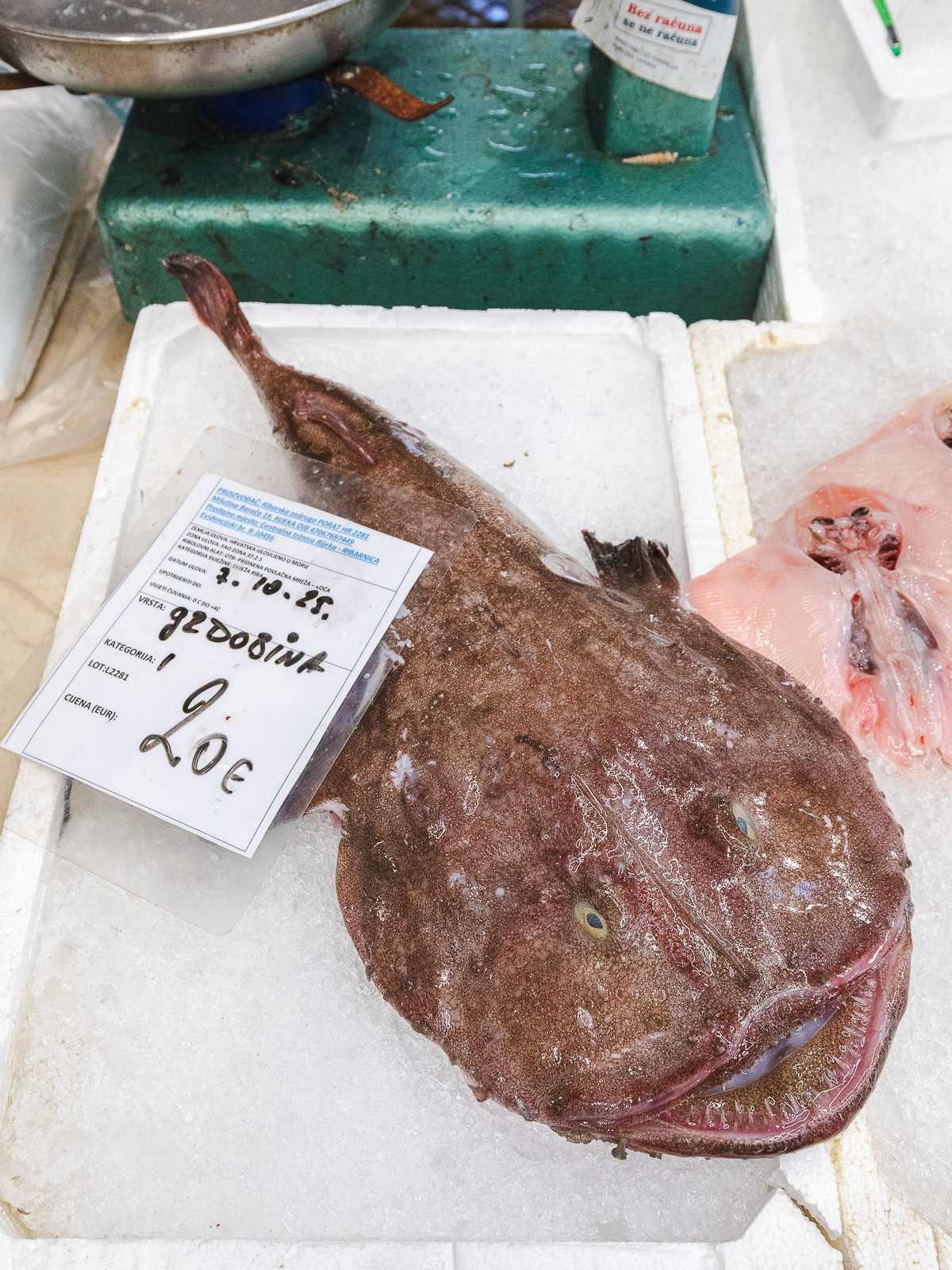 Tržnica ribarnica-4217