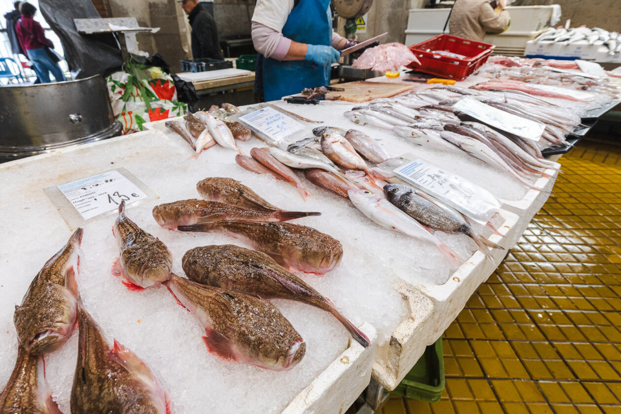 Tržnica ribarnica-4219