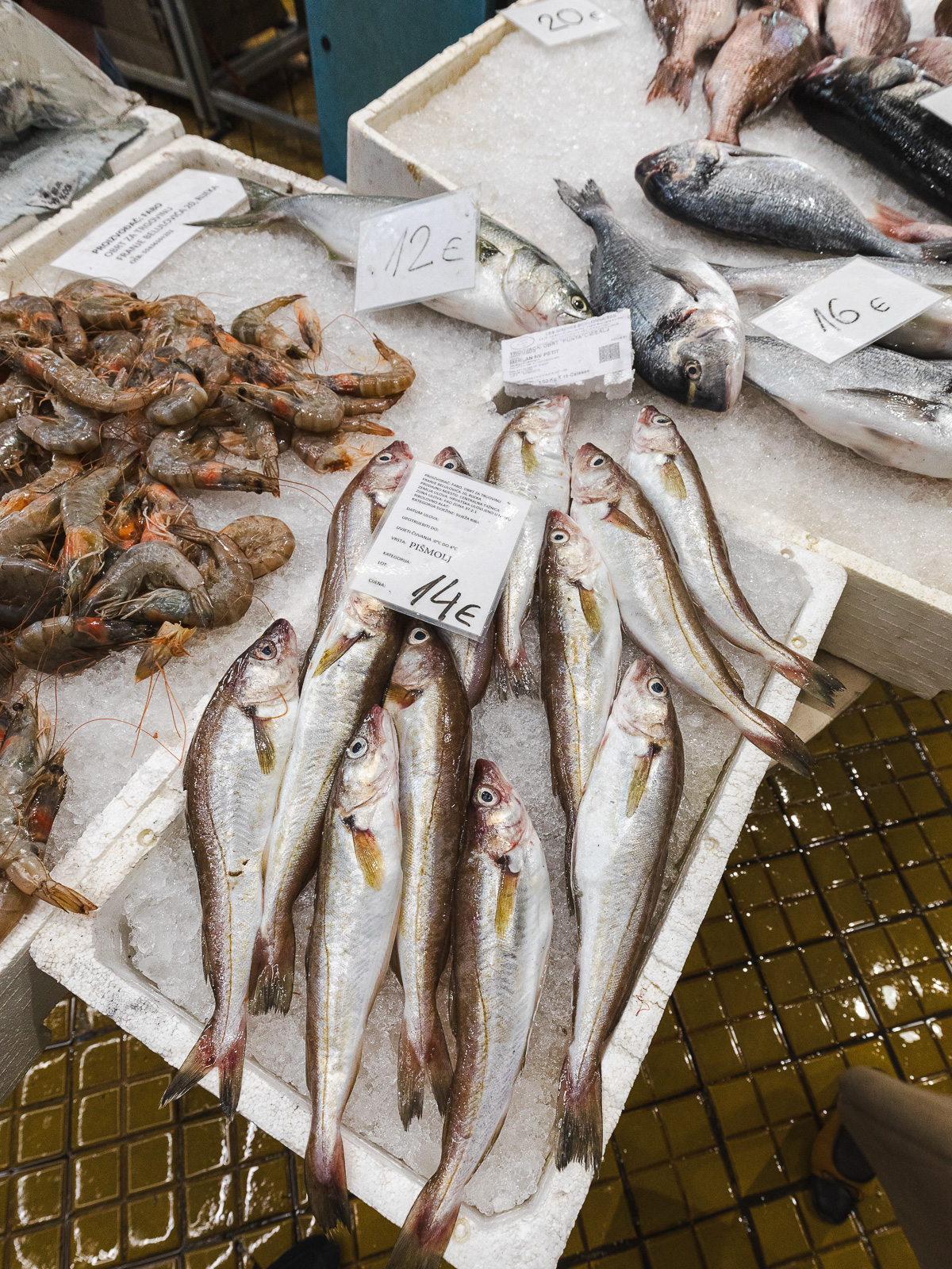 Tržnica ribarnica-4221