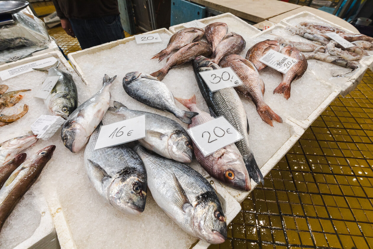 Tržnica ribarnica-4223