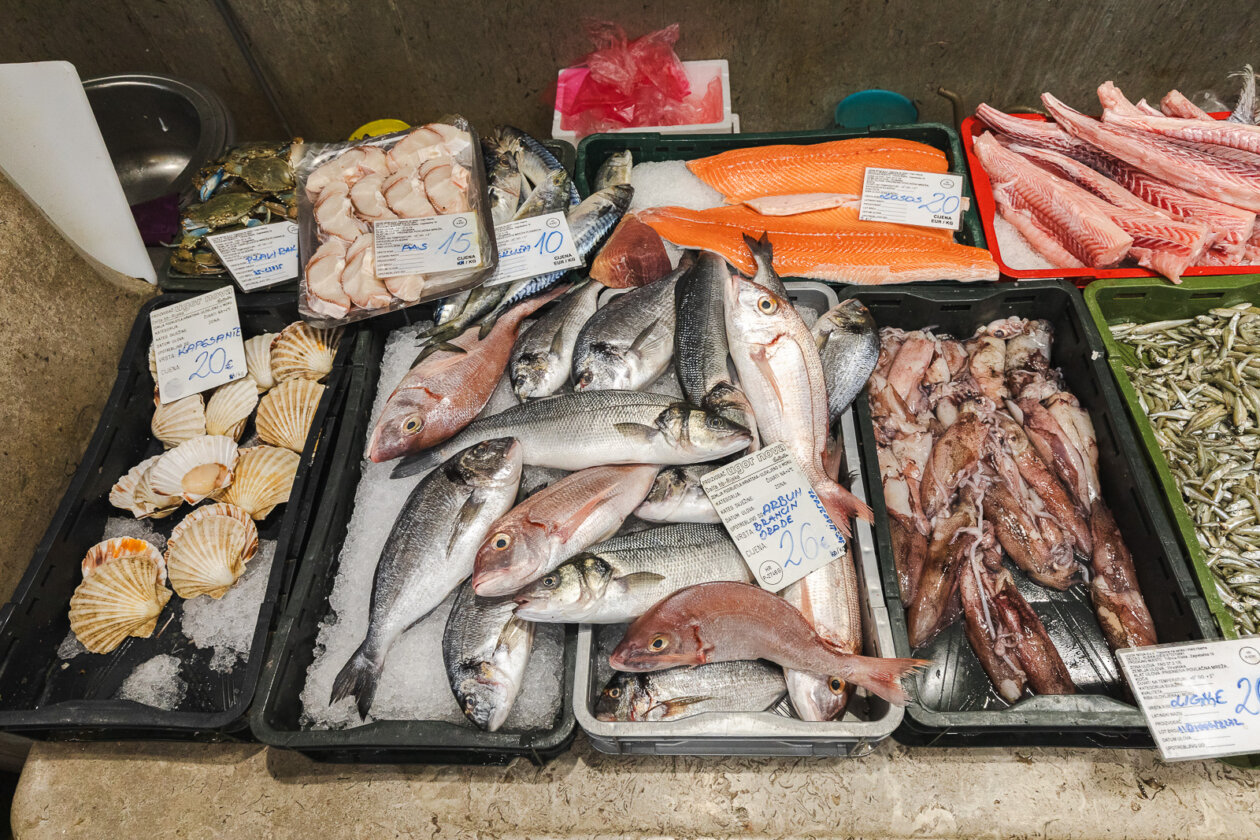 Tržnica ribarnica-4224