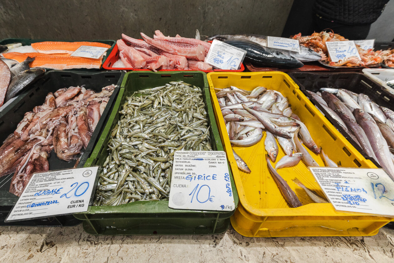 Tržnica ribarnica-4227