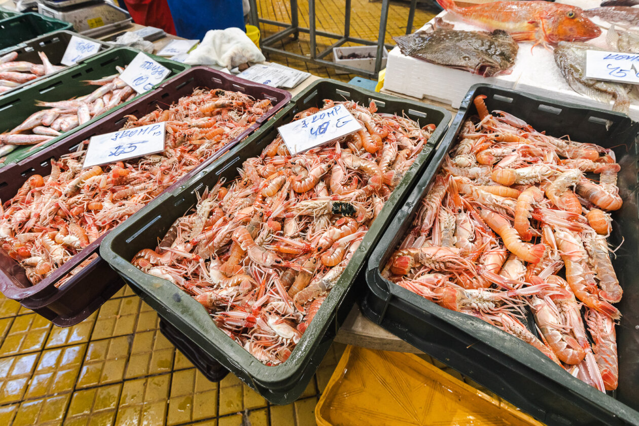 Tržnica ribarnica-4228