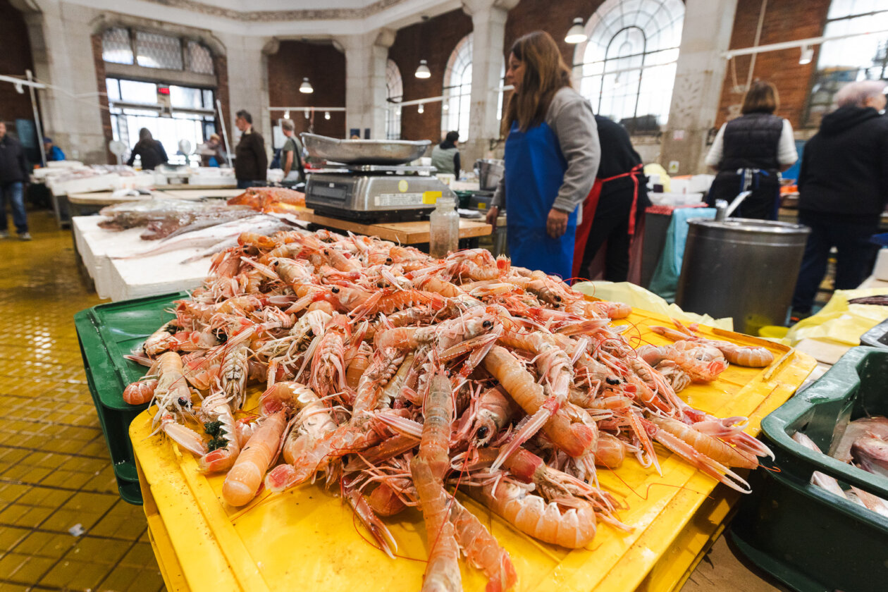 Tržnica ribarnica-4231