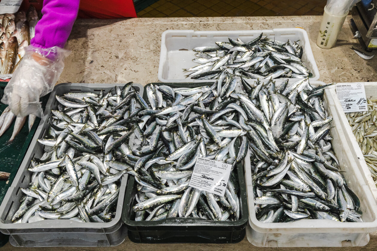 Tržnica ribarnica-4233