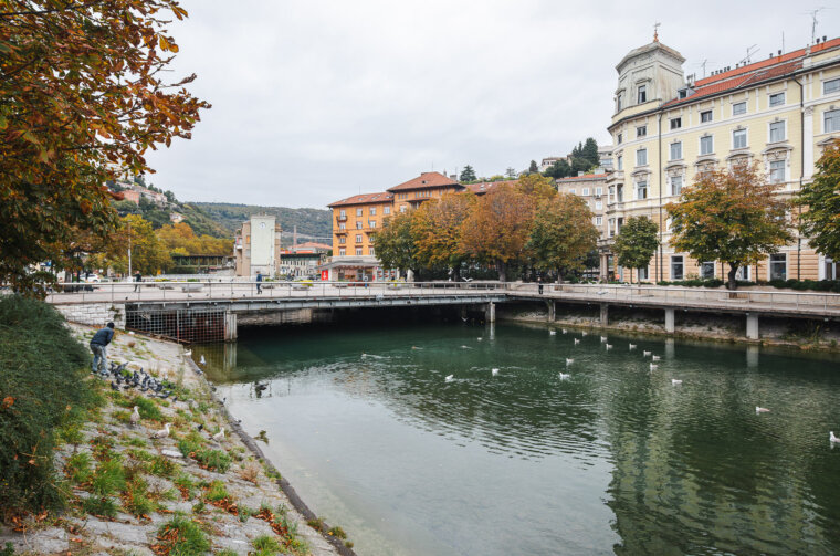 ilustrativna Riječina kont -6093