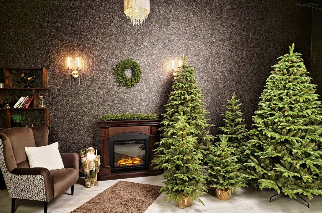 kolekcia-3d-jedla-kaukazska18 (1) (1) kolekcia-3d-jedla-kaukazska18 (1) (1)