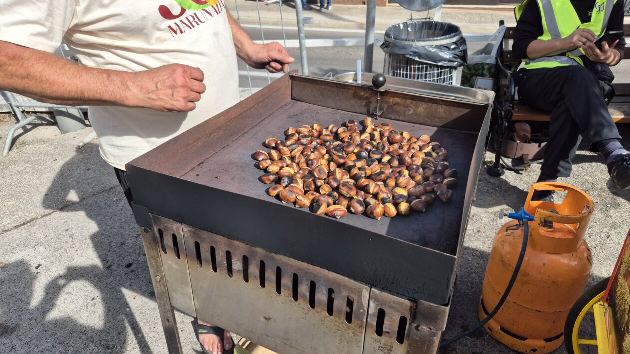 marunada 2025 1 marunada 2025 1