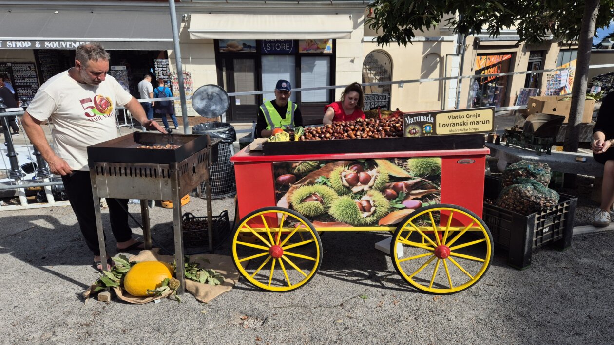 marunada 2025 15 marunada 2025 15