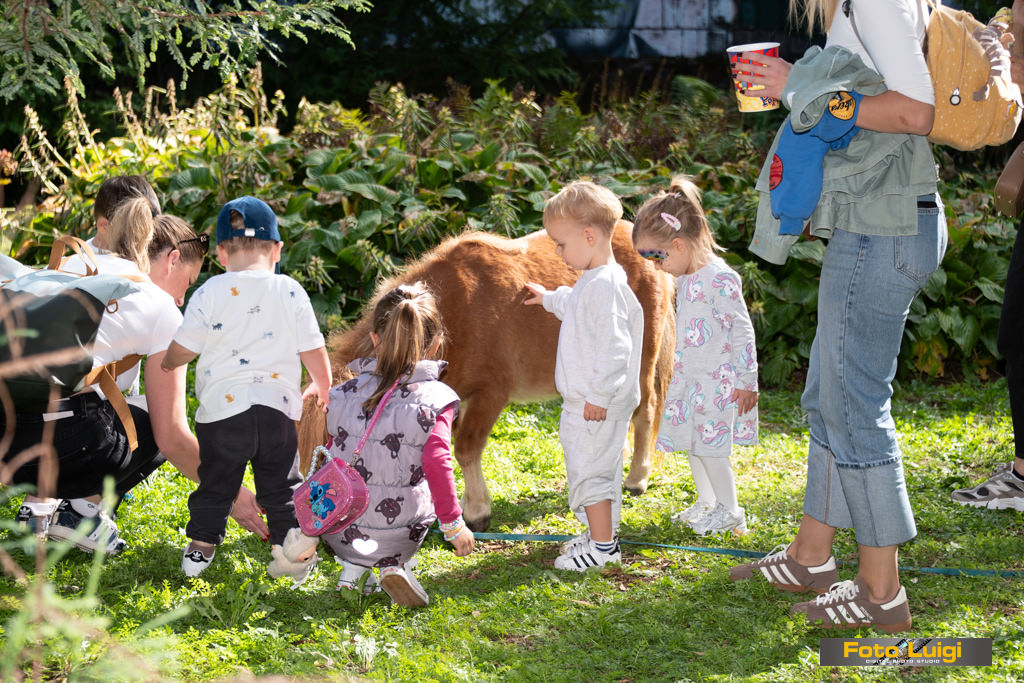 Festival Opatija, Foto Luigi Opatija, Grad Opatija, Ljetna pozor