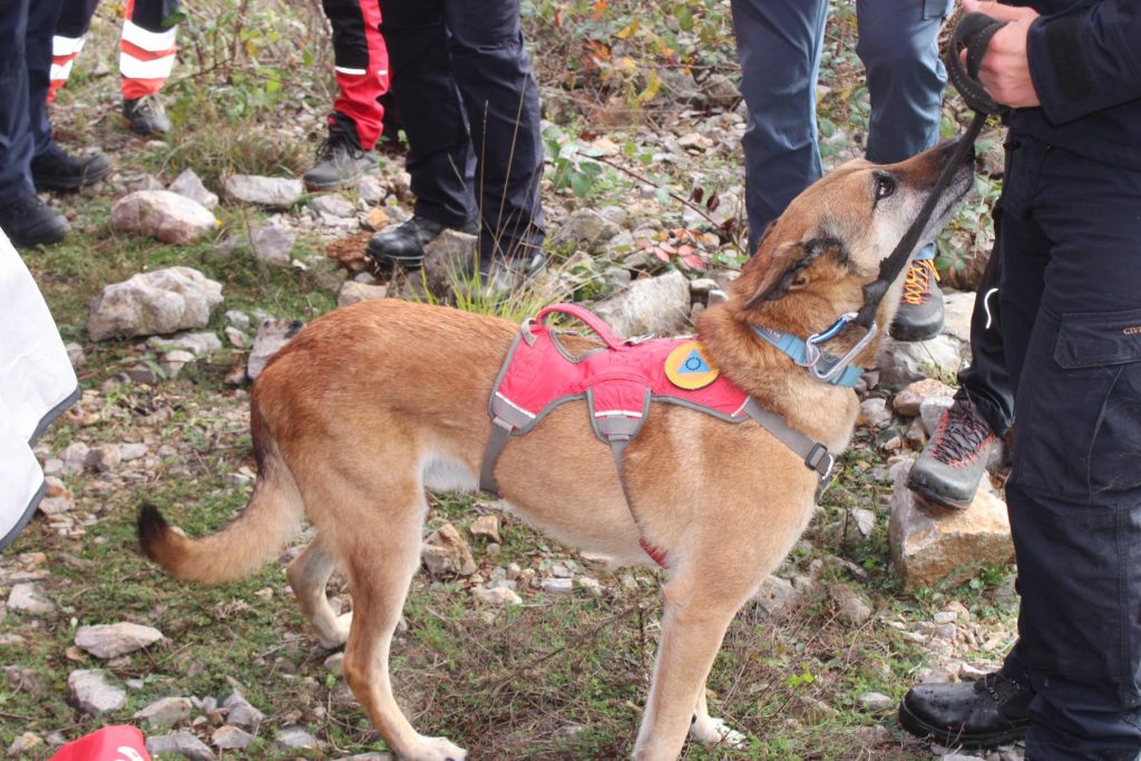 vježba sigurnost pgž listopad 2025 155 vježba sigurnost pgž listopad 2025 155