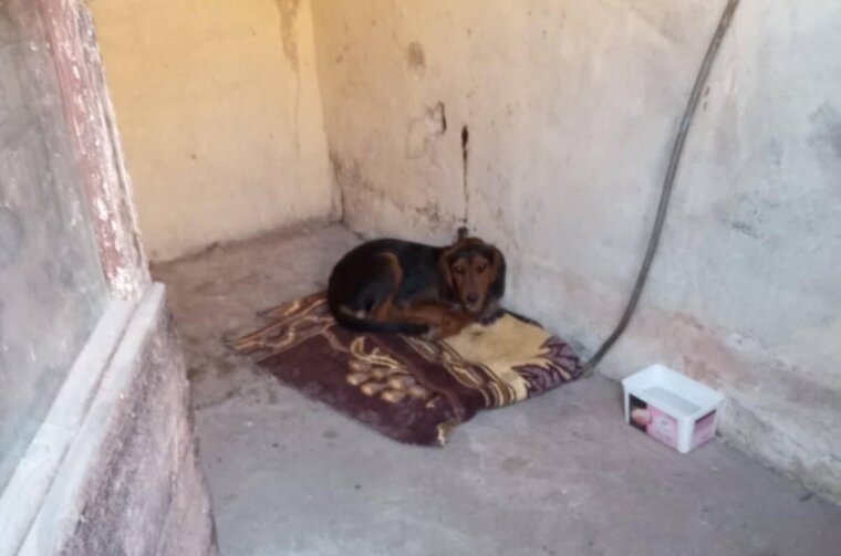 584539063_122157484412622455_2160096751887311543_n