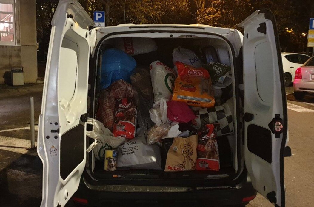 590963172_1182885163975639_3006635755472378012_n