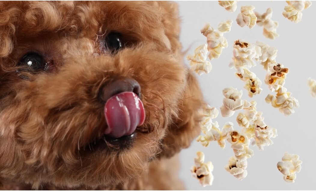 BeFunky-collage (6) BeFunky-collage (6)