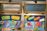 Buba-3-768×1024 Buba-3-768×1024