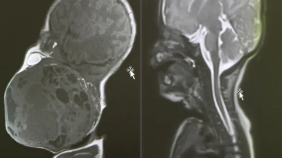 H-e2cff312-298f-4af3-9525-6c86ce2e3e27-550