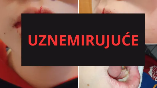 H-f7fcfe9c-4cb7-4b20-a985-95b8361cf5e9-550