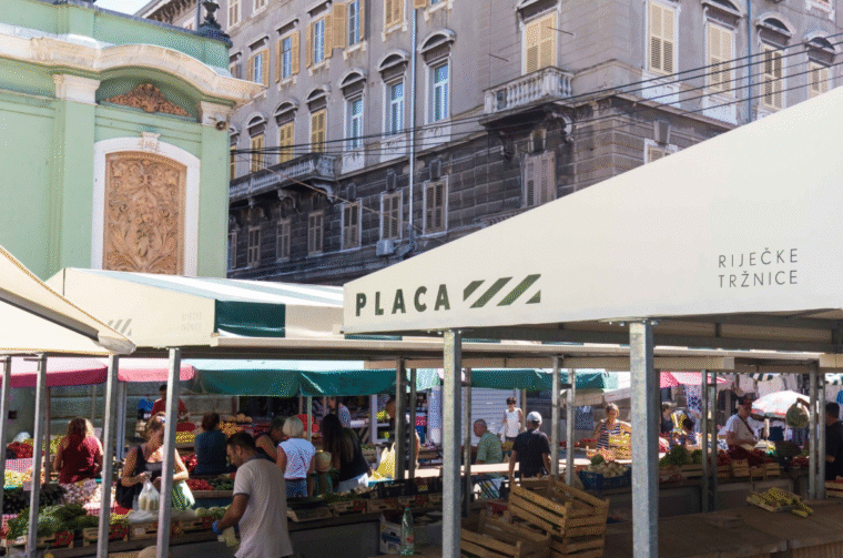 Placa trznica Placa trznica