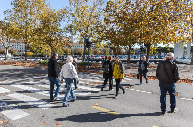 Ilustrativna Jelačićev trg pješački-6953 Ilustrativna Jelačićev trg pješački-6953