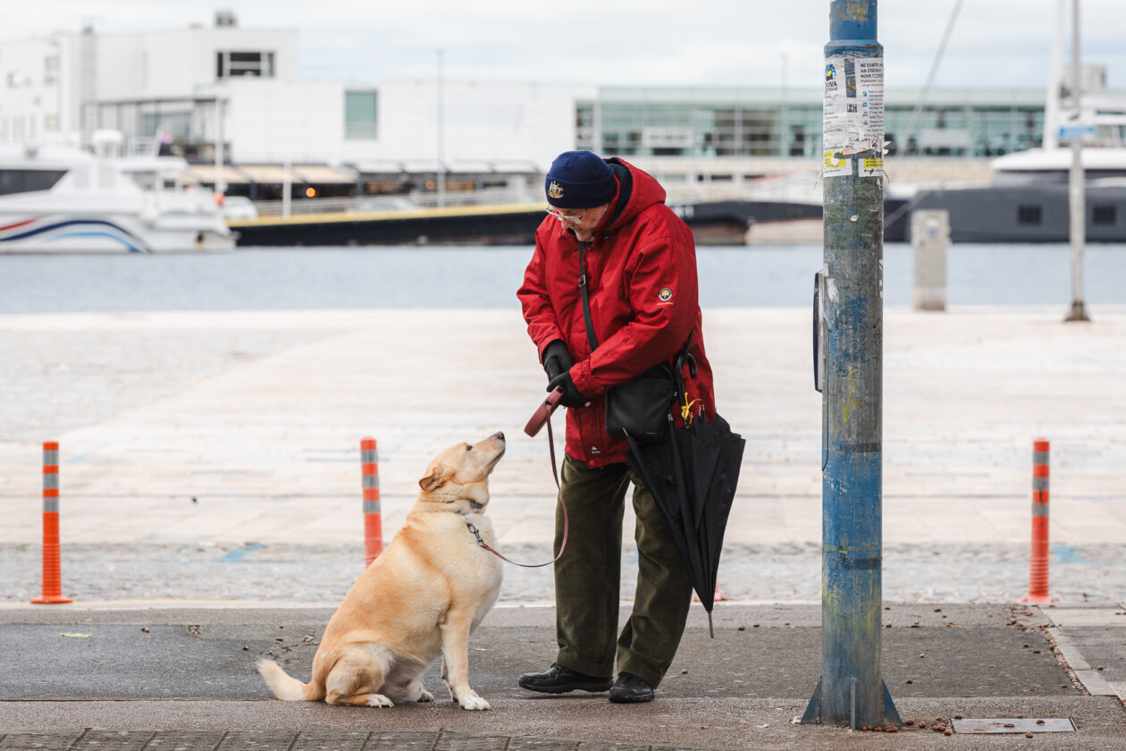 Ilustrativna jesen hladnoća -0241
