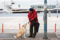 Ilustrativna jesen hladnoća -0241