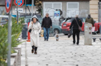 Ilustrativna jesen hladnoća -0245