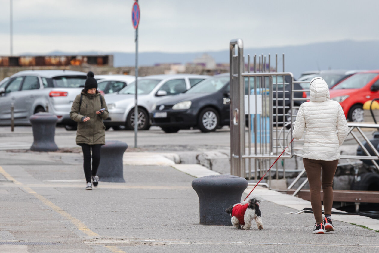 Ilustrativna jesen hladnoća -0258