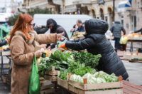 Ilustrativna jesen hladnoća -0262