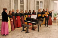 Izlozba-o-Carlosu-Arayi-10