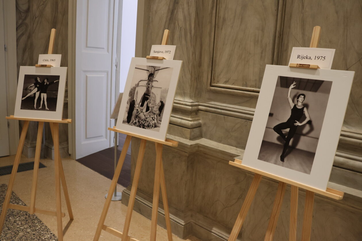 Izlozba-o-Carlosu-Arayi-3