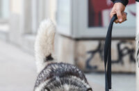 Klikom po Korzu 14.11.-9296