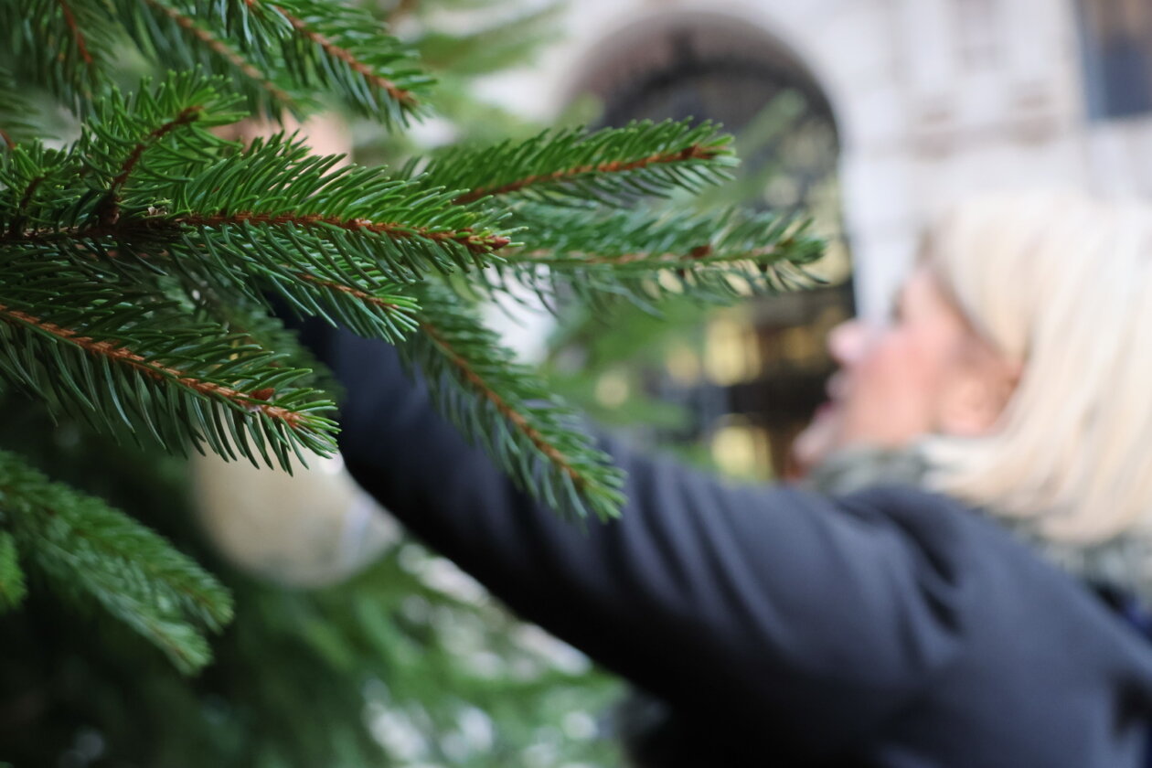 Kuglice-dobrih-zelja-Rincic-6 Kuglice-dobrih-zelja-Rincic-6