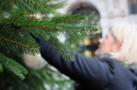 Kuglice-dobrih-zelja-Rincic-6 Kuglice-dobrih-zelja-Rincic-6