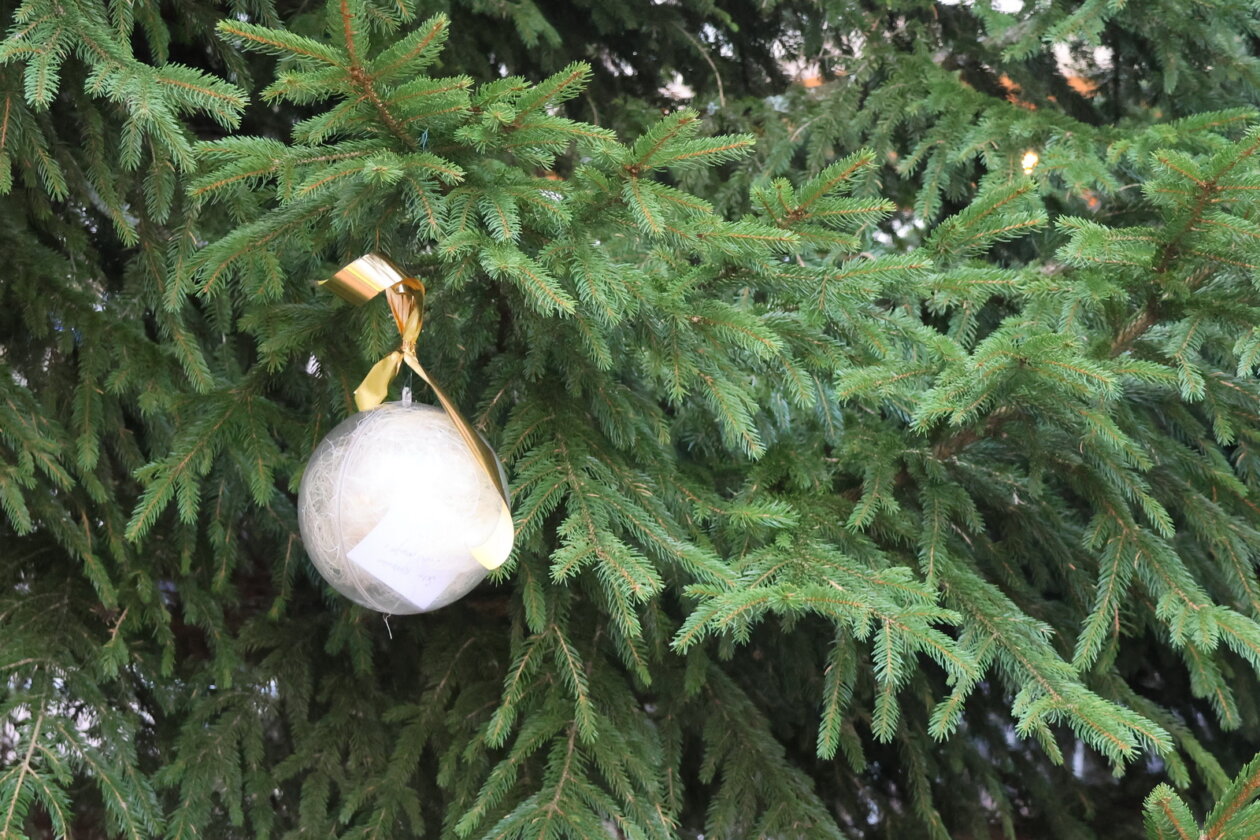 Kuglice-dobrih-zelja-Rincic-8 Kuglice-dobrih-zelja-Rincic-8