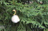 Kuglice-dobrih-zelja-Rincic-8 Kuglice-dobrih-zelja-Rincic-8