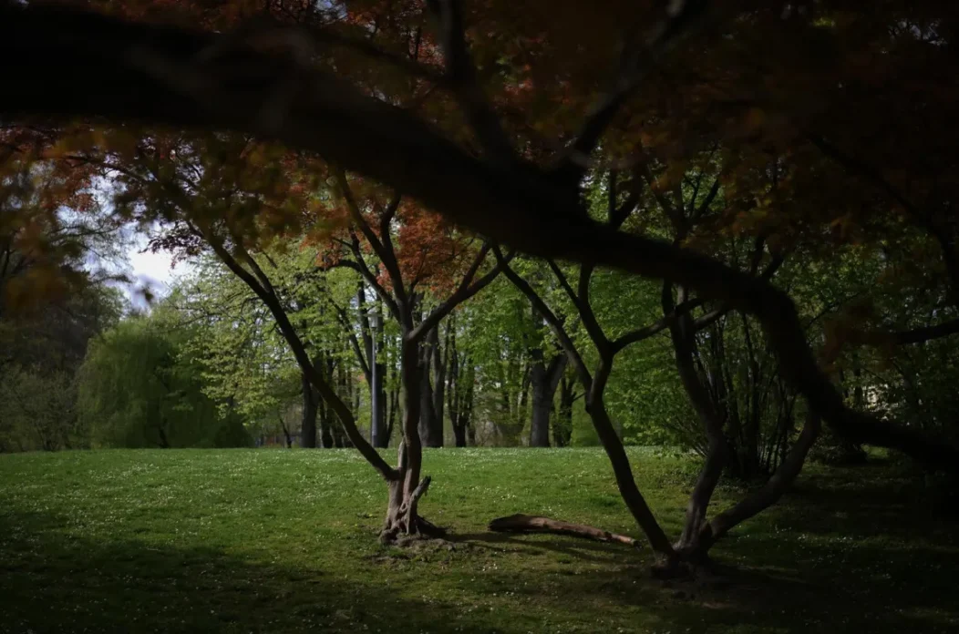 O-a4d0e03d-e904-4055-9901-203fef703ca9-1200 O-a4d0e03d-e904-4055-9901-203fef703ca9-1200