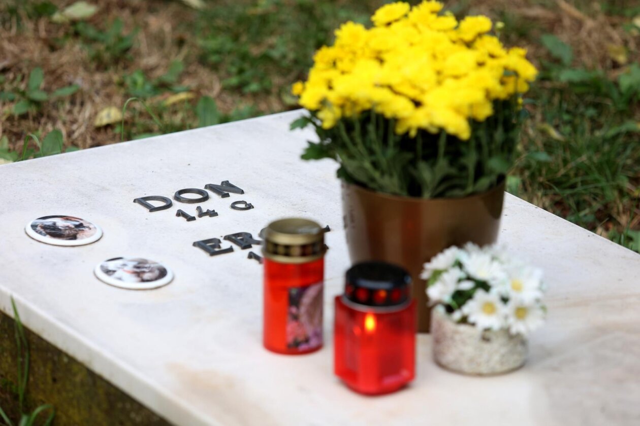 Rijeka: Groblje kućnih ljubimaca na Kozali Rijeka: Groblje kućnih ljubimaca na Kozali